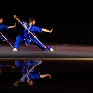 Beijing Wushu Team performs in Burnham