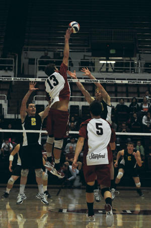 Middle blocker Eric Mochalski (above) and the No. 4 Stanford men's volleyball team kept up its impressive play with wins over Long Beach State and Cal State Northridge. (NICK SALAZAR/The Stanford Daily)
