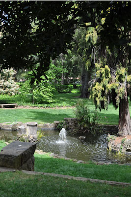 Hidden between Tresidder Union and Lomita Drive are the quiet and serene Kingscote Gardens--home to a four-story apartment building and an intimate garden with two ponds. (Courtesy of Godfrey DiGiorgi)