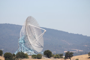 Fire at the Dish likely caused by animal