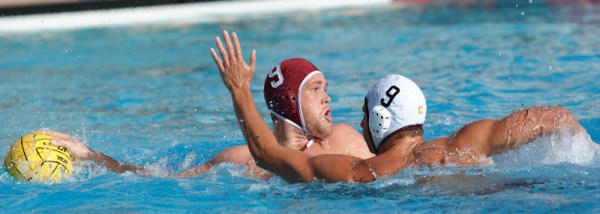 Sophomore Alex Bowen (above) is one of three current and former Cardinal water polo players that will compete at the FINA World League Super Final this June. (LARRY GE/The Stanford Daily)