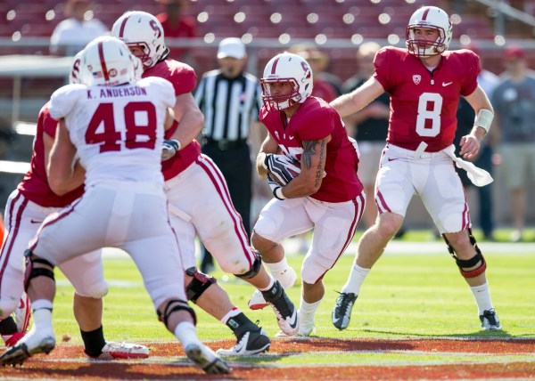 After returning from minor league baseball, senior running back Tyler Gaffney (25) first took snaps from Kevin Hogan (8) in front of fans at the Cardinal & White Spring Game. Gaffney impressed in second public appearance on Saturday, converting two fourth downs in an open scrimmage. (BOB DREBIN/StanfordPhoto.com)