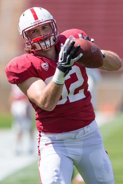 Tight end Charlie Hopkins, after switching to offense from defensive line this spring, is now one of the team's tight end starters. (JIM SHORIN/StanfordPhoto.com)