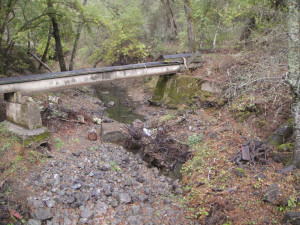 Corte Madera Creek below Searsville Dam has a creek bed of mostly angular rocks that are not suitable for steelhead trout. (Courtesy of Christopher Sproul)