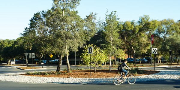 A campus traffic circle at the intersection of Campus Drive and Escondido Road.
(MELISSA WEYANT/The Stanford Daily)
