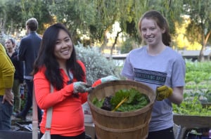 Megan Lu ('15), left, and Megan McAndrews ('17), at Alemany farm, an all-volunteer community farm that donates all its produce to a free farmers market in SF. Their TGB group participated in a workday weeding, mulching, and harvesting.