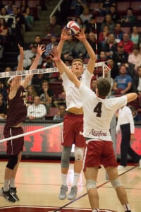 Junior setter James Shaw (above) made his season debut in the AVCA Showcase over the weekend, tallying 36 digs and eight digs in five totals sets played. As he continues to rehab from injury, Shaw is likely to split time with freshman Kyle Dagostino. (ROGER CHEN/The Stanford Daily)