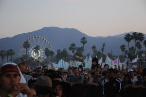 A view of the festival's iconic palm trees and Ferris wheel. (GABRIELA GROTH/The Stanford Daily).