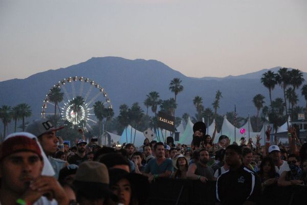 A view of the festival's iconic palm trees and Ferris wheel. (GABRIELA GROTH/The Stanford Daily).
