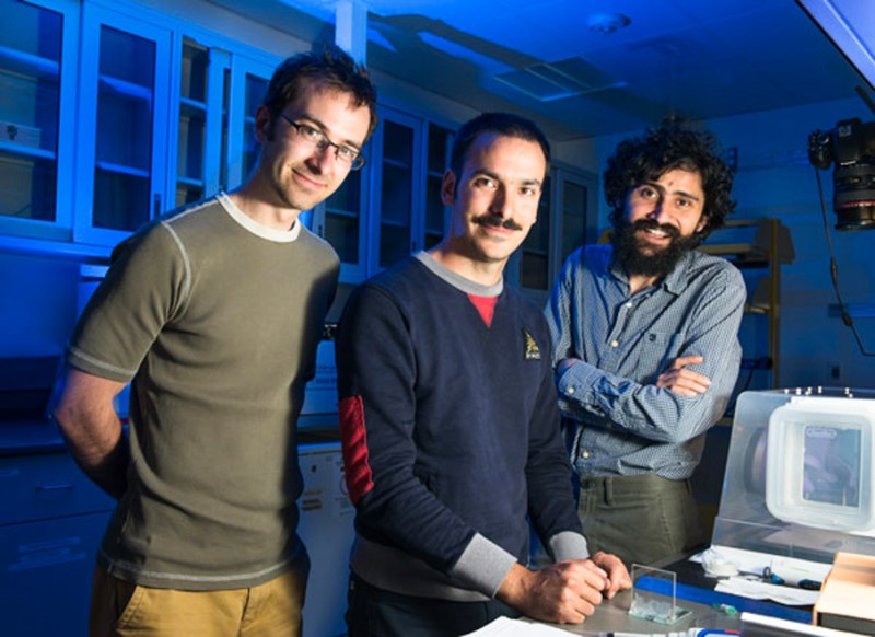Three students have solved the mystery of why food coloring droplets behave, in some situations, like living organisms (LINDA A. CICERO/Stanford News Service).