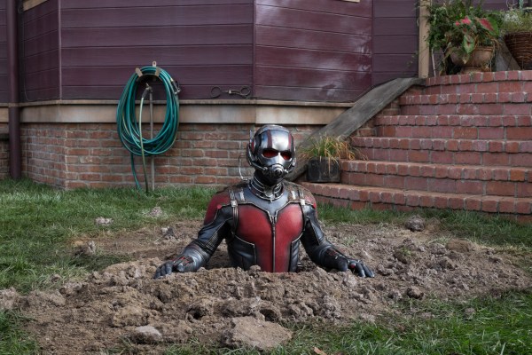 Paul Rudd stars as Scott Lang in Marvel's "Ant Man." (Zade Rosenthal, Marvel)