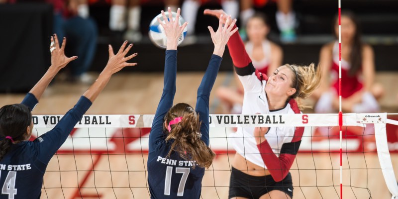 STANFORD, CA - September 5, 2014:  The Stanford Cardinal vs Penn State Nittany Lions  at Maples Pavilion in Stanford, CA. Stanford wins the match 3-2.