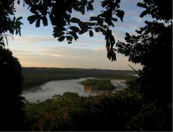 A picture of the Napo River in the Amazon Rainforest that the author took on her trip to Ecuador. (CLARISSA GUTIERREZ/The Stanford Daily)