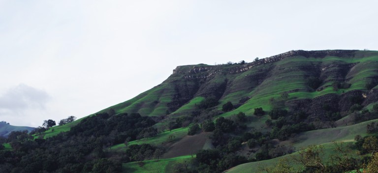 The Ohlone trail near campus (SAM GIRVIN/The Stanford Daily).