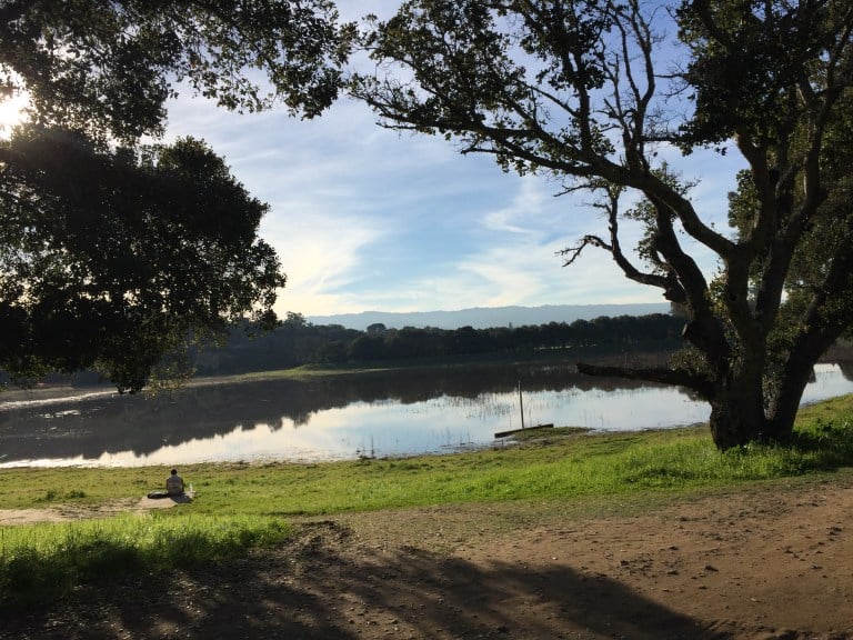 Lake Lag might be a picturesque place to meet-cute, according to The Grind's Vivian Lam. (SAMANTHA WONG/The Stanford Daily)