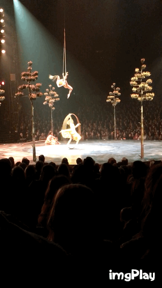 A Stanford student’s day, according to Cirque du Soleil