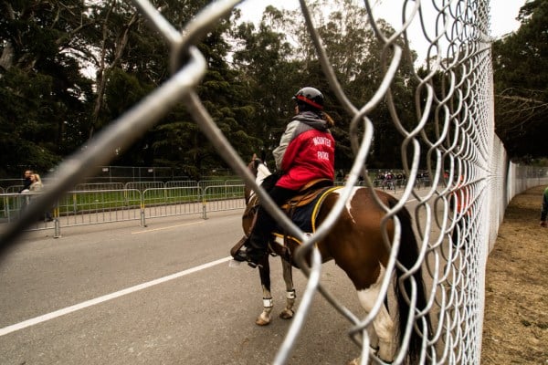 Horse cop, at Outside Lands 2016. (SAM GIRVIN/The Stanford Daily).
