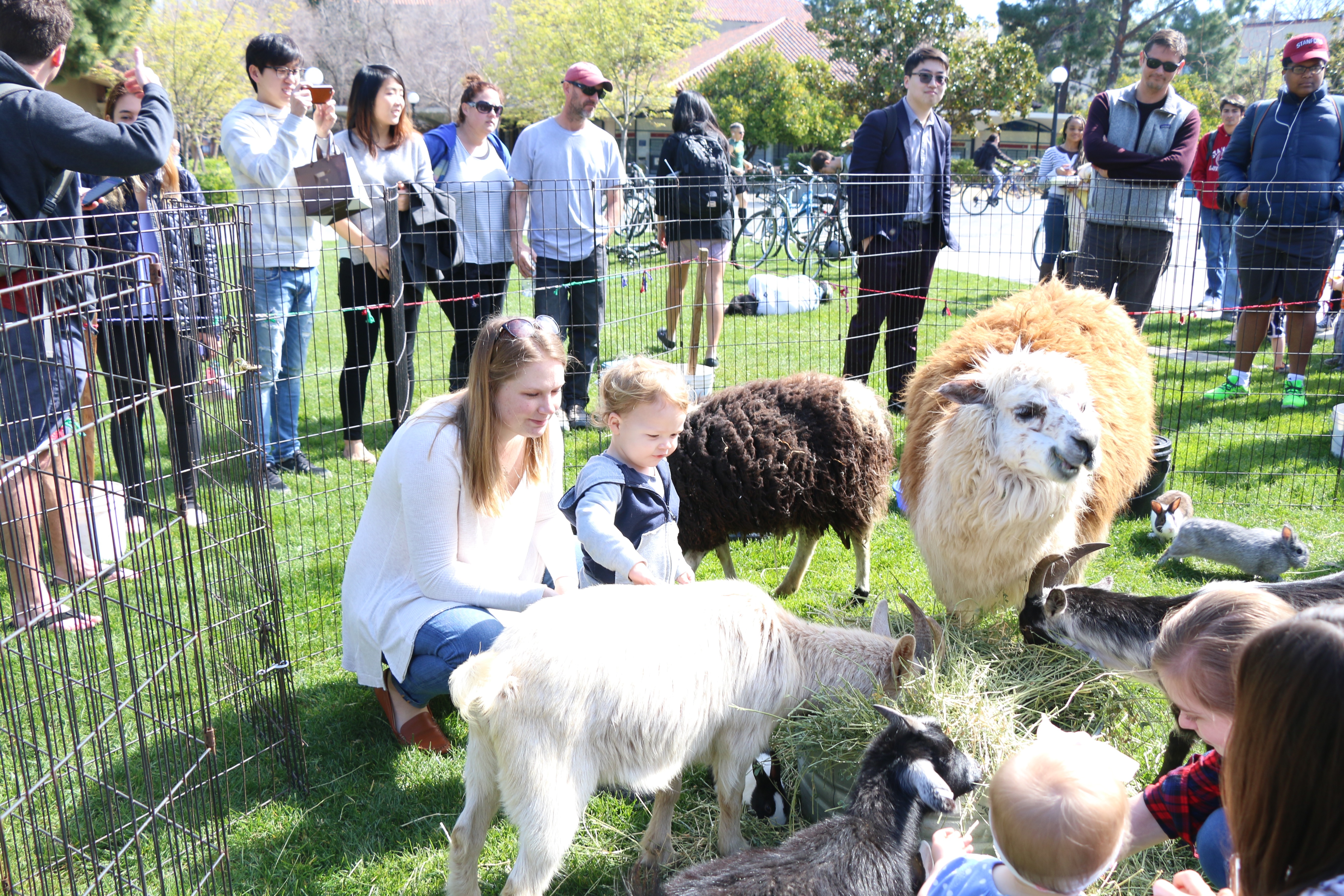 A zoo visits The Farm, Mikaela Berkeley and Tiffany Ong