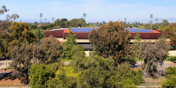 Stanford has increased the number of buildings with solar panels on campus. (MICHAEL SPENCER/The Stanford Daily)