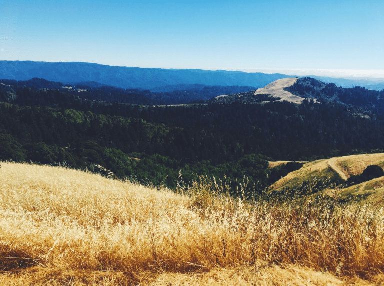 A photo from the author's VSCO account. (JULIE PLUMMER/The Stanford Daily)