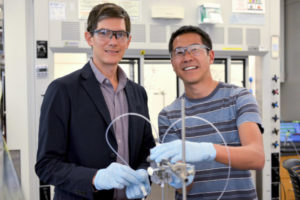 Stanford discovery could lead to a more renewable approach to producing ethanol