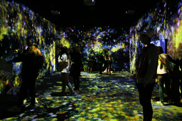 teamLab challenges our experience of art