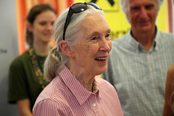 Dr.  Jane Goodall. (Courtesy of Wikimedia Commons)