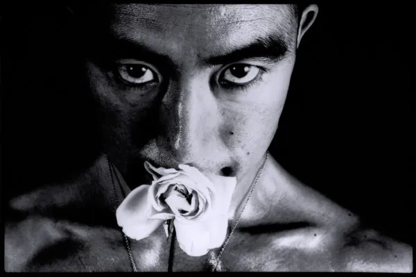 Body cult: Mishima and Murakami on writing and the body