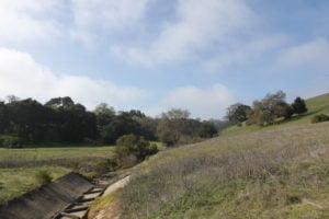 Hiking the Dish: The importance of outdoor campus spaces
