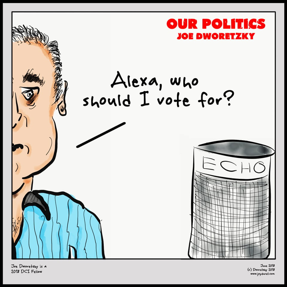 Cartoon: Voting