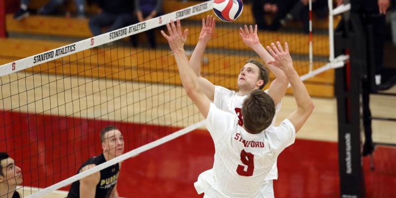 Junior settter Paul Bischoff (above) set the Stanford volleyball team to two straight wins over Purdue Fort Wayne this weekend. (HECTOR GARCIA-MOLINA/isiphotos.com)