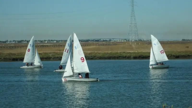 Three sailboats on a lake