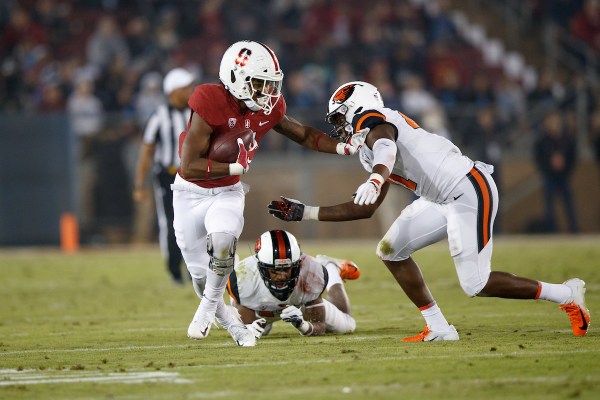 Junior receiver Connor Wedington (above) navigates past defenders during Stanford's 48-17 victory over Oregon State last season. (DAVID BERNAL/isiphotos.com)