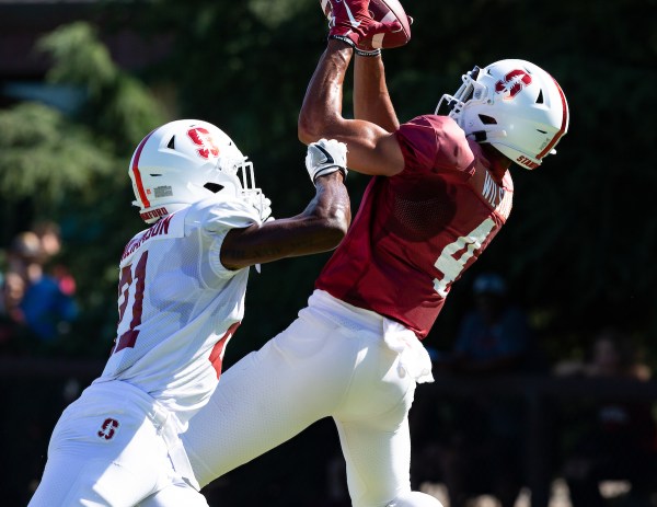 Sophomore receiver Michael Wilson (above) goes up for catch during a pre-season scrimmage. (JOHN P. LOZANO/isiphotos.com)
