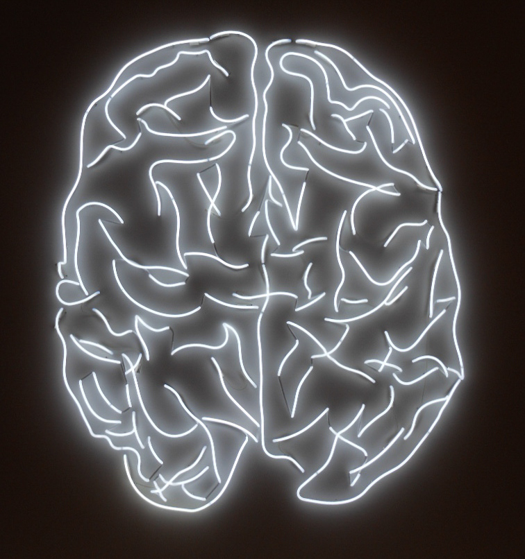 Brain 45. Мозг свет. Генерация мозга. Мозг безграничен.
