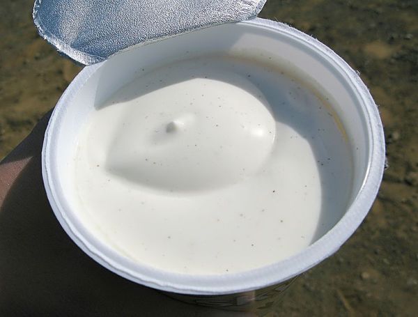 A freshly-opened tub of skyr. Its surface is pristine, glistening and inviting (Photo: Wikimedia).