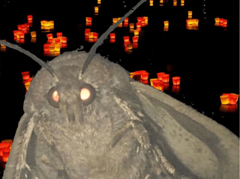The event was well attended by the frosh as well as the Western Tussock Moth, likely due to the ‘Festival of Lights’ theme. Those annoying insects that carpet every outdoor space in the spring came in great numbers—and so did the moths. (photo edit: OM JAHAGIRDAR/The Stanford Daily)
