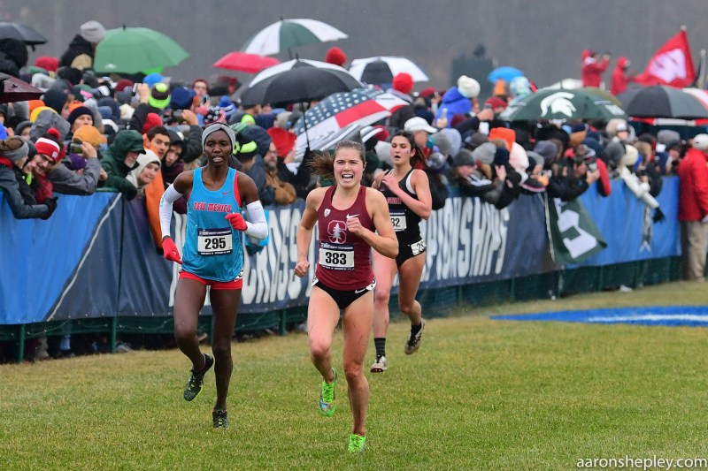 Senior Ella Donaghu (above) earned her first All-America honor after she finished eighth at the NCAA Championships on Nov. 23. As Stanford's first finisher, she led the Cardinal women to the team's highest NCAA finish since 2012. (Photo: Courtesy of Chuck Aragon)