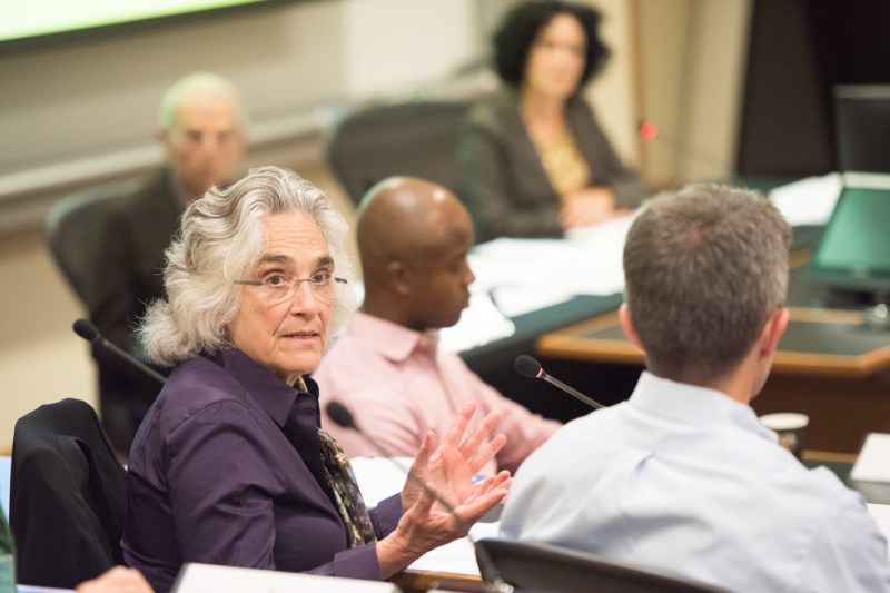 Provost Drell speaks at a Faculty Senate meeting. (Photo: L.A. Cicero)