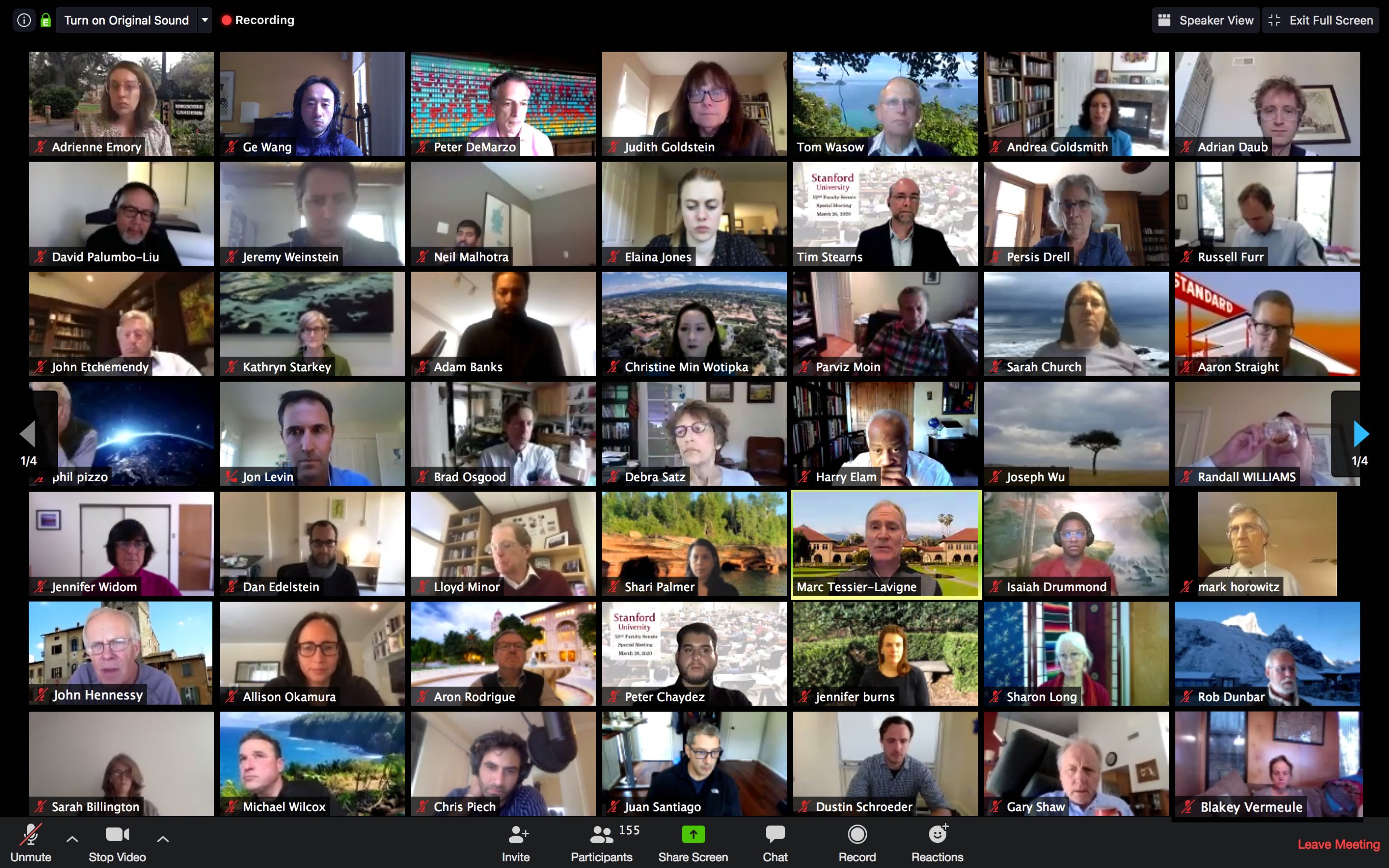 Grid view of the participants in the Faculty Senate's meeting over Zoom