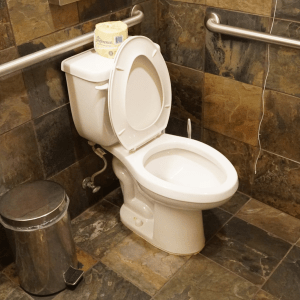 A smart toilet could identify you by your 'analprint' and detect