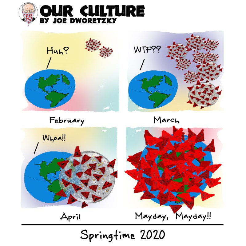 Springtime 2020 cleanup 6