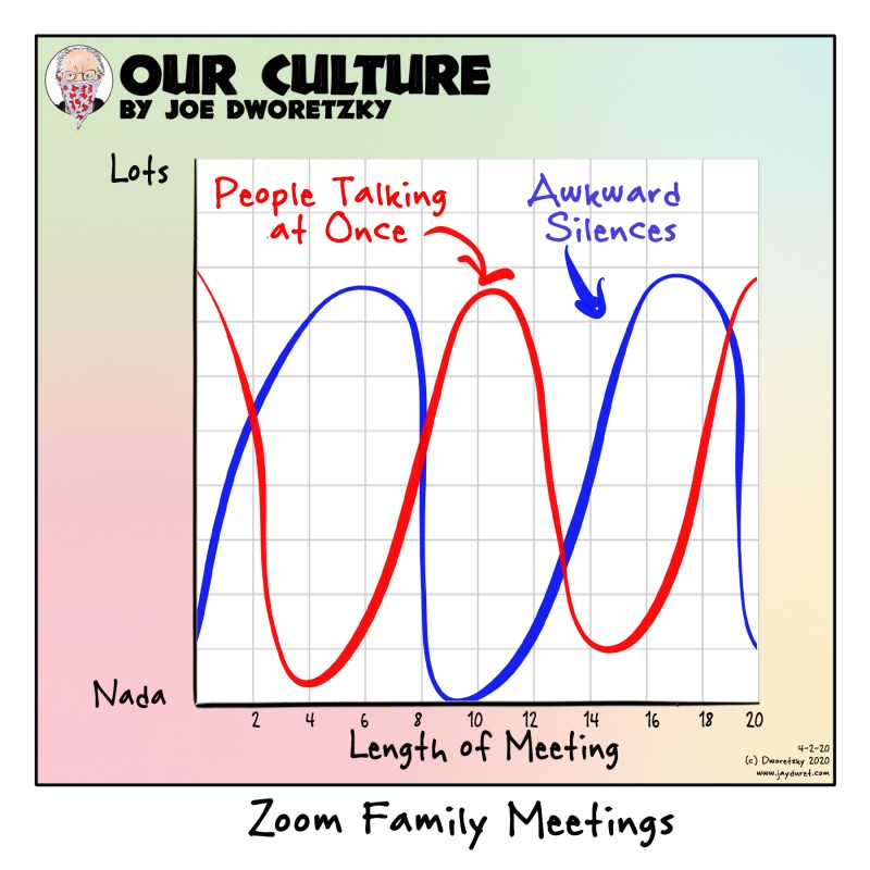 Zoom Family Meetings
