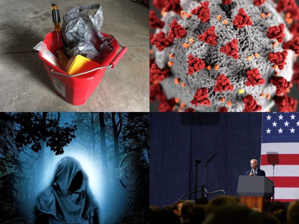Some of this year's exciting candidates: a veiled mystic, an old bucket of tools, coronavirus, and a Smaller Joe Biden.