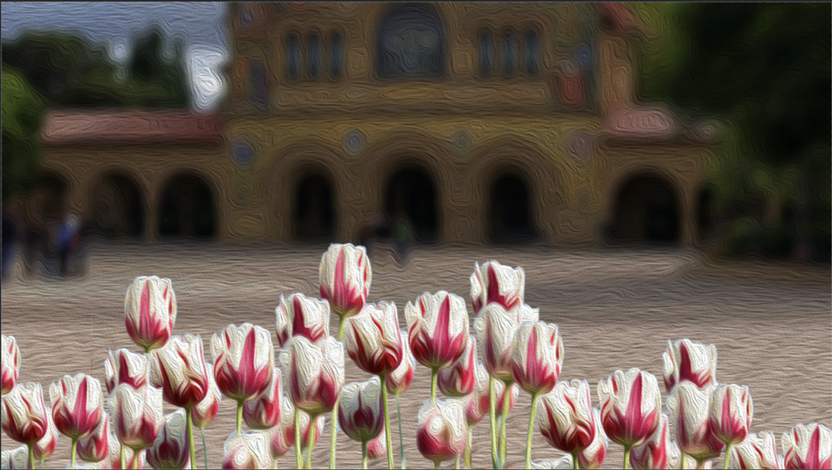 The flower that blooms in adversity The Stanford Daily