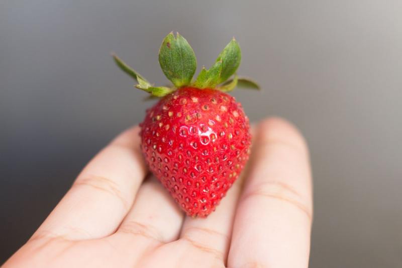 One juicy strawberry in a bowl of unripe fruit shows you that you have all you need. (Photo: Unsplash)