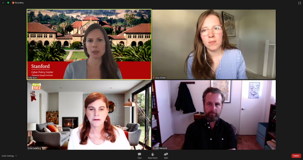 A zoom call with Kelly Born, Jeff Hancock, Amy Orben and Erica Pelavin