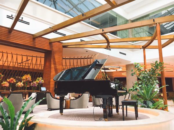 A piano in a well-lit room flanked by two large plants.