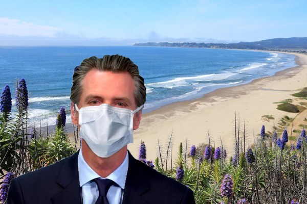 Teary-eyed Newsom overlooks a completely, totally, empty California beach. “It smells like victory out here,” Newsom mused to reporters. (LOGAN LITTLE/The Stanford Daily)