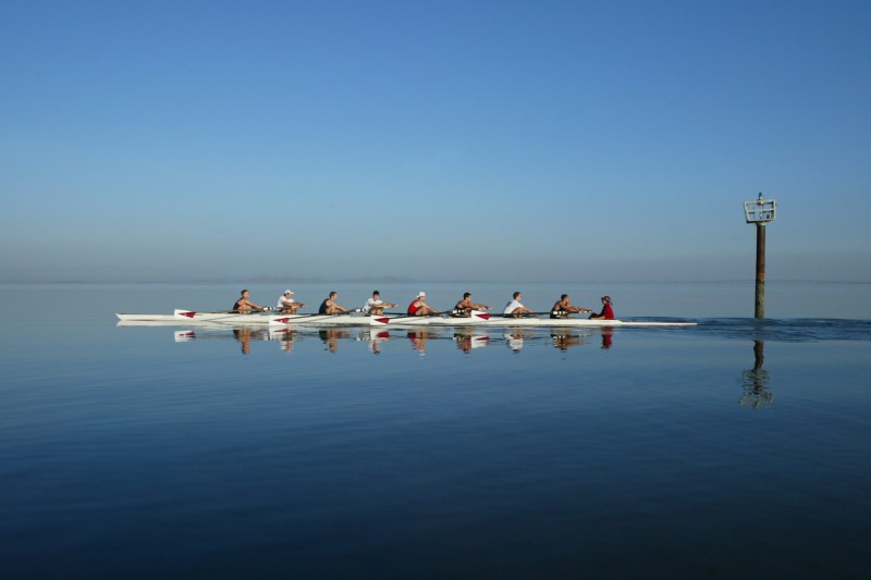 Men's rowing is one of three rowing teams currently offered at Stanford, in addition to women's rowing and women's lightweight rowing. The men's team was the only Cardinal team that did not compete at all during the 2019-20 season because of COVID-19 precautions. (Photo: DAVID GONZALES/isiphotos.com)
